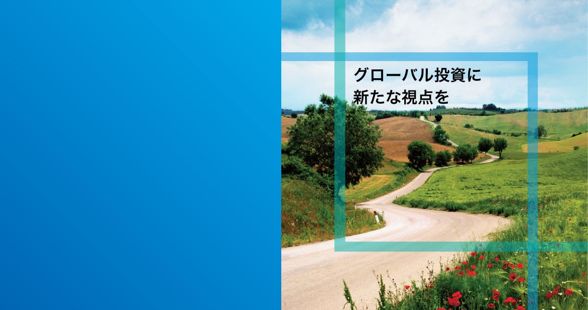キャピタル世界株式ファンド(DC年金つみたて専用)